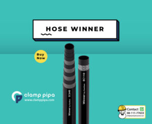 hose winner